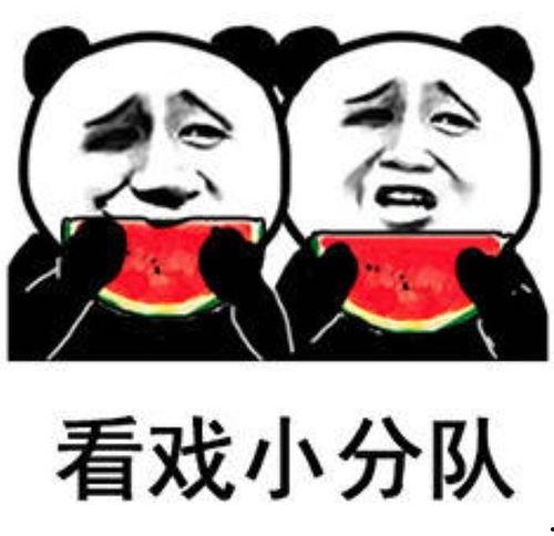 吃瓜表情很烦,从烦恼到狂欢的演变之路 第1张 吃瓜表情很烦,从烦恼到狂欢的演变之路 第1张